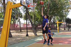 Las entrada de bandeja