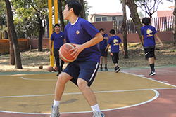 Pivotes en básquetbol