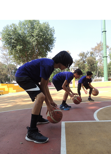 Categorías Academia de Básquetbol Coyoacán
