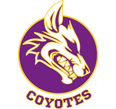 icono escuela de basquetbol Coyoacan